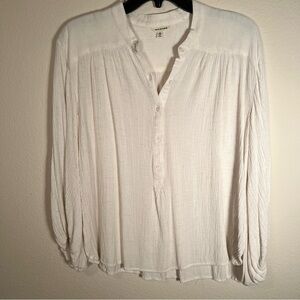 Max Studio Cream Button-Up Blouse